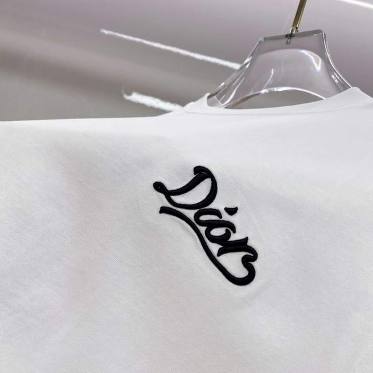 Dior T Shirts Short _SKUDiorS-2XLtltx13416013
